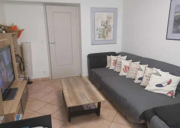 The - 3 Rooms, 3air Cond, 3tv, 3fans, 2 Wc, Wifi Everywhere 5min Aeroport, Train, Beach, 1min Tram, 15 Min Centre, Port, Parking Possible * Nice